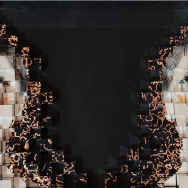Connessioni
