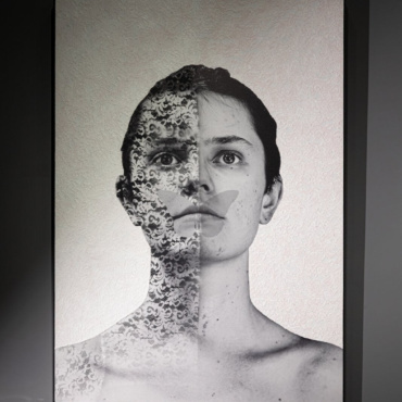 Michele Tombolini - Untitled(4)